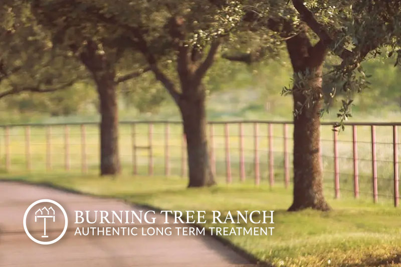 Driveway at Burning Tree Ranch in Kaufman, TX