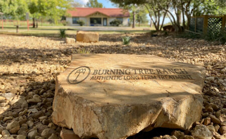 Photo of Engraved Rock with the Burning Tree Ranch Logo