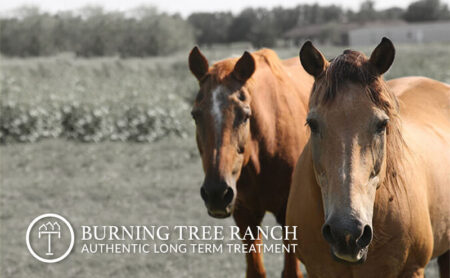 Two Horses Side-by-Side at Burning Tree Ranch