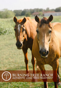 Two Horses Side-by-Side at Burning Tree Ranch