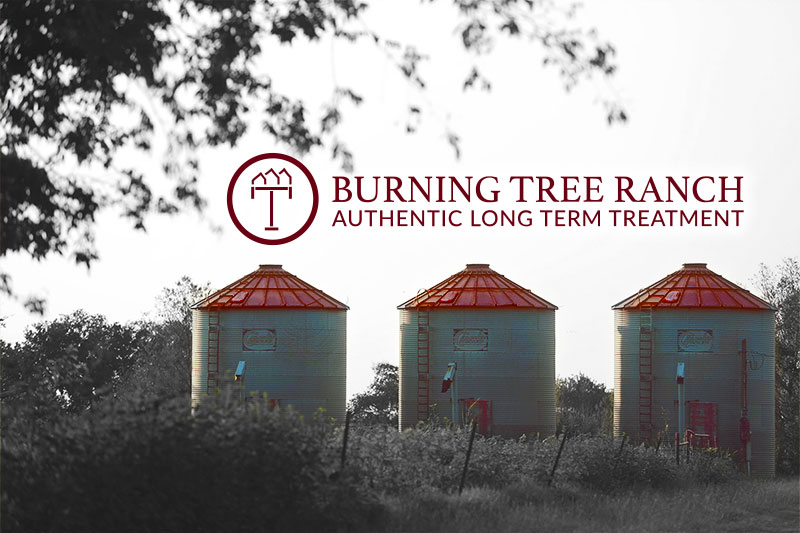 Colorized Grain Silos at Burning Tree Ranch