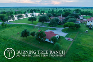 Burning-Tree-Ranch-Aerial-View