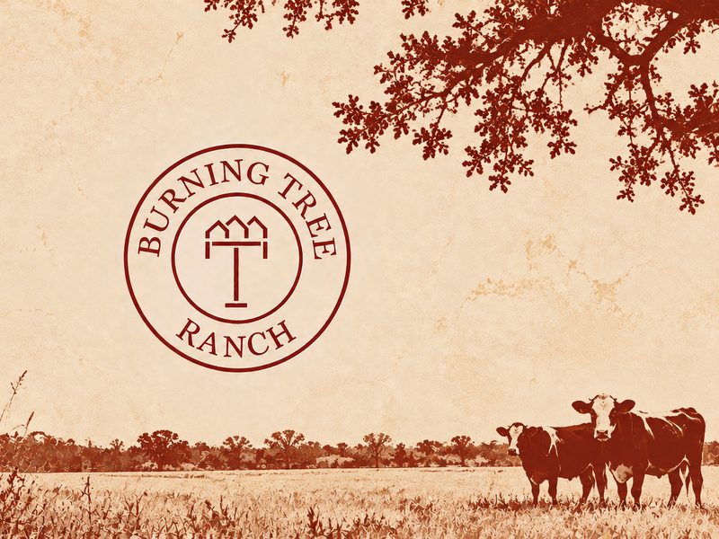 Illustrated Burning Tree Ranch emblem over a pasture with cattle, a fence post and a coiled rope