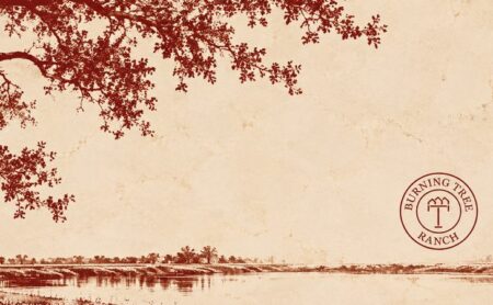 Illustrated live oak over a quiet river at Burning Tree Ranch with a small emblem in the corner
