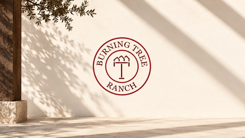 Burning Tree Ranch emblem on a sunlit cream wall with soft leaf shadows and a wooden post